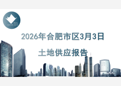 2026年合肥市区3月3日 土地供应报告
